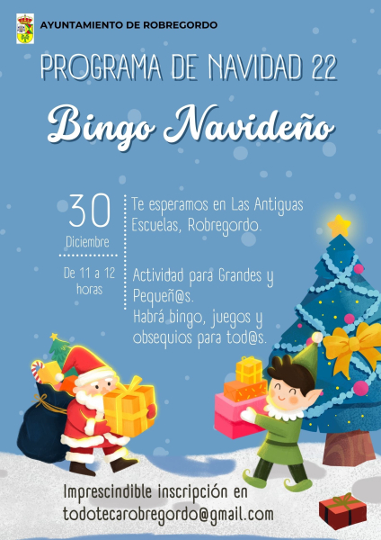 bingo-navideo-22